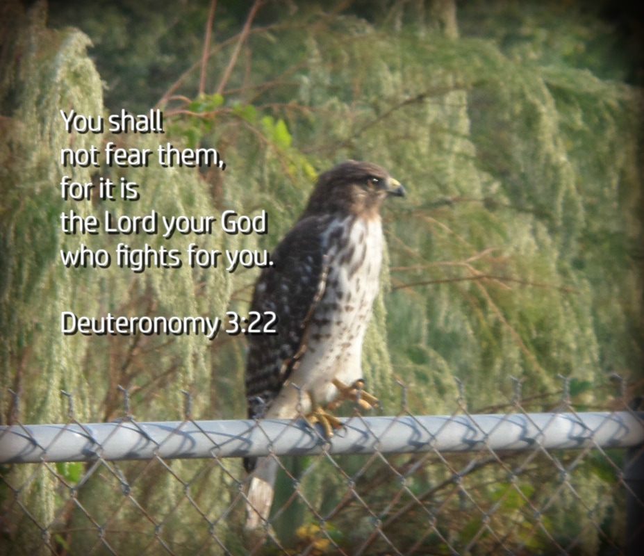  You shall not fear them, for it is the Lord your God who fights for you. Deuteronomy 3:22